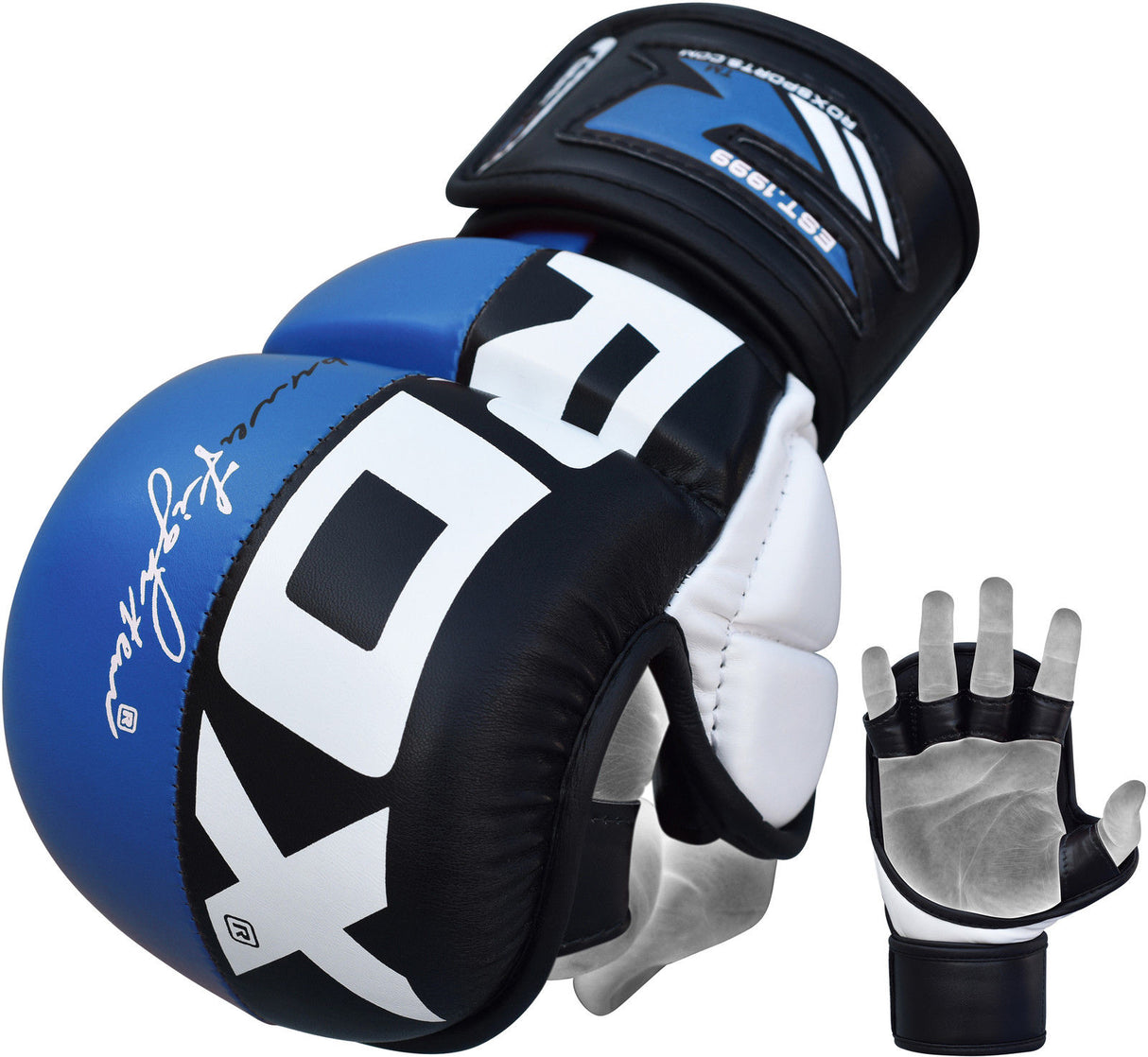 Boxing Gloves By RDX, MMA Kickboxing Sparring Gloves for Men, Muay
